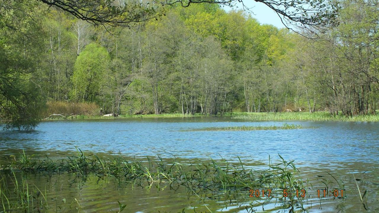 Kwatera Na Bagnach Osowiec  Exteriör bild